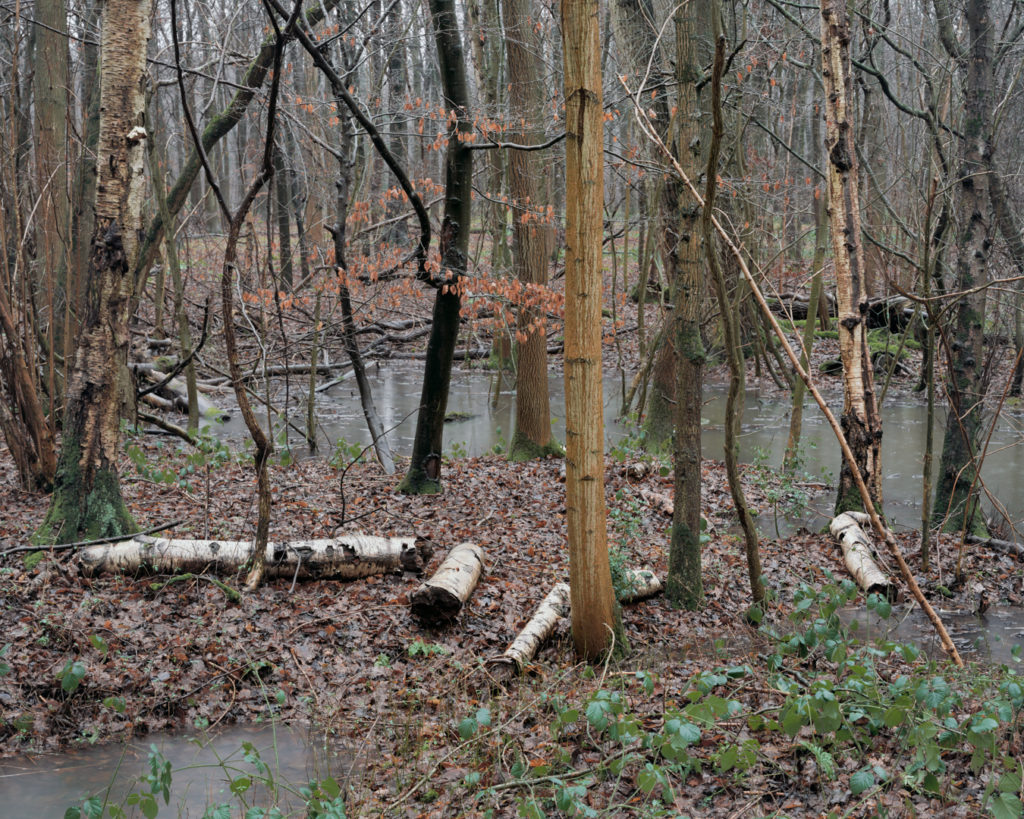 The Floods - Exploring the antithesis of the pastoral landscape ...